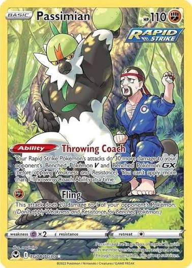 Passimian TG08/TG30 Trainer Gallery card from Silver Tempest